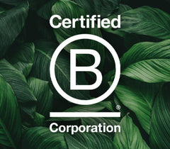 Our journey to become B Corp Certified